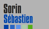logo EIRL Sorin Seb.jpg