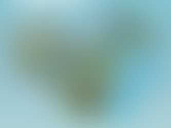 Connaitre les us et coutumes chinois