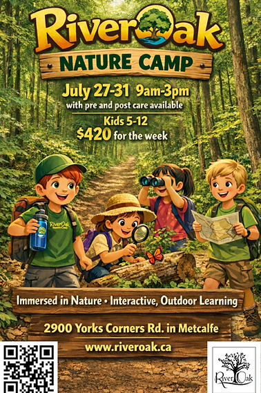 NATURE CAMP FINAL 1.png