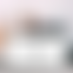 The Diastasis Recti Guide