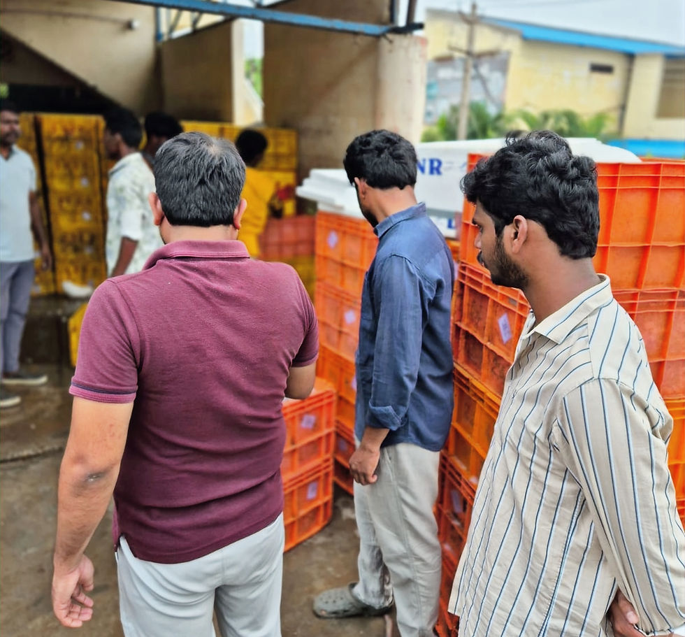 FWI staff Mani and Subrata at the trader's packing facility ensuring that the chill-killed fishes are packed separately.