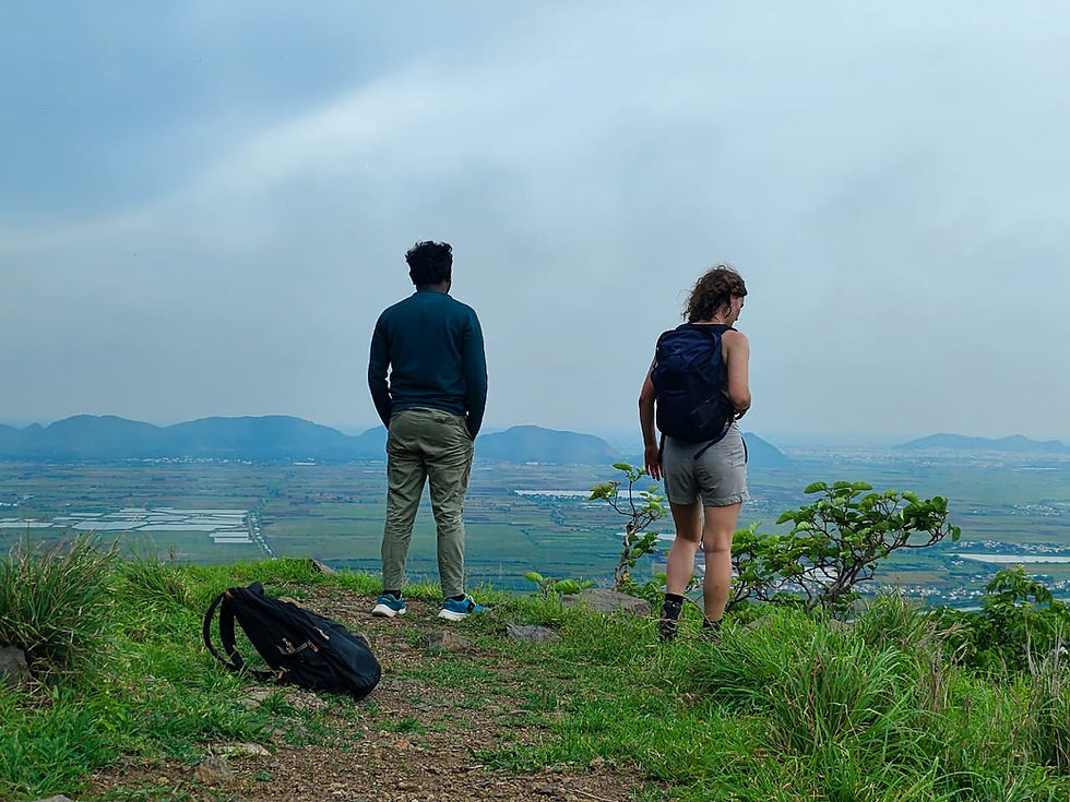 Reflections on my FWI Internship