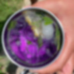 Pea flower syrup added to sparkling water, mint leaves, and lemon