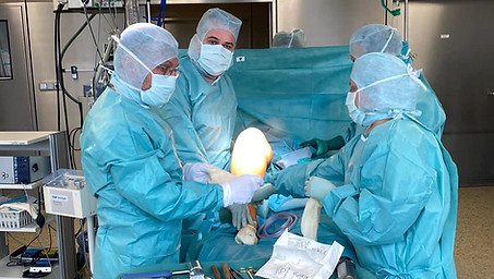 Artroplastia navegada de joelho