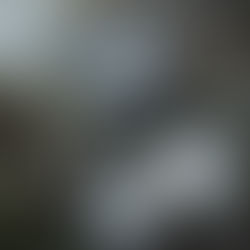 "JUSTICE" Rule #4 of Chivalry