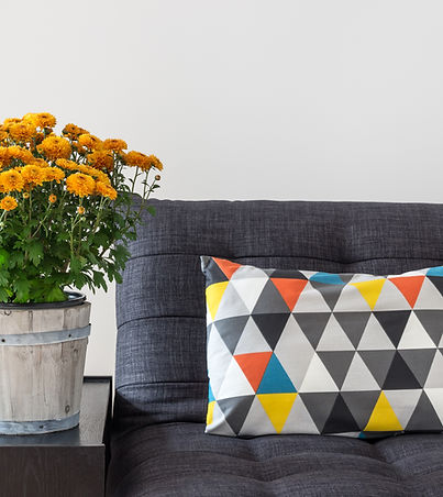 throw pillow on sofa