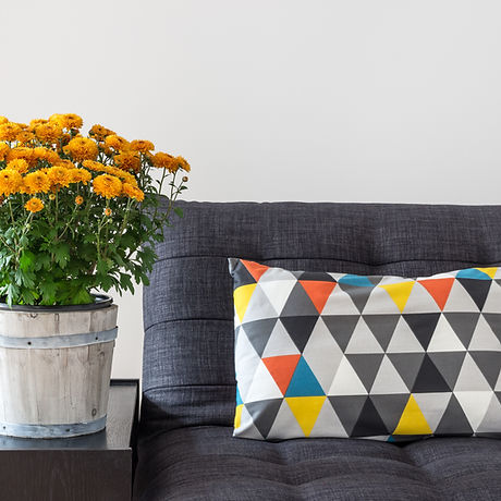 throw pillow on sofa