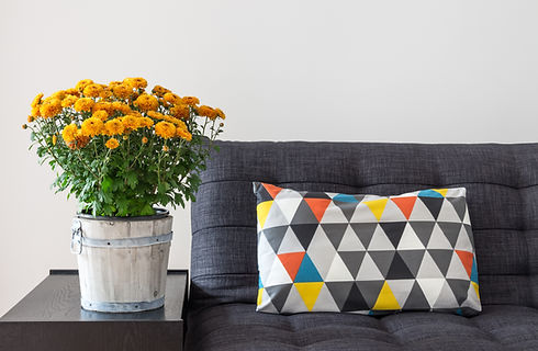 throw pillow on sofa