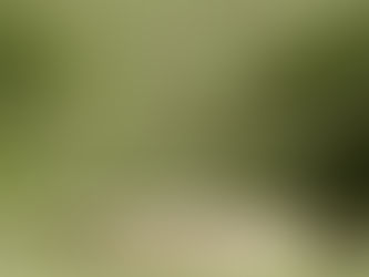 Il Cerchio di Munari - VERONA