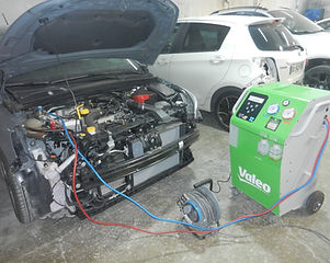 DSCN7449.JPG