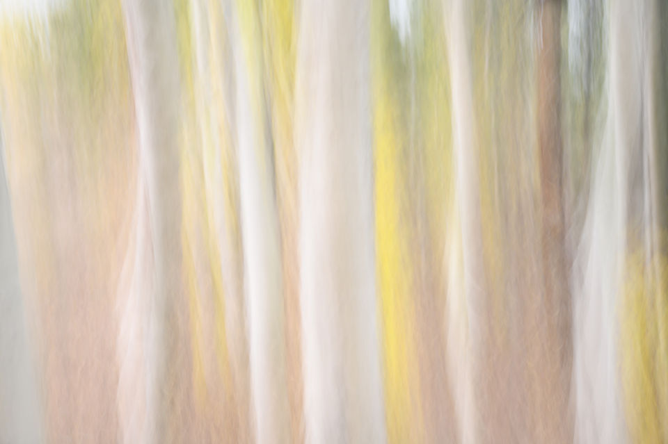 _DSC3872-Edit.jpg
