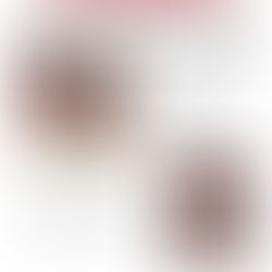 The Redskin - 3rd Edition - December 12, 2024
