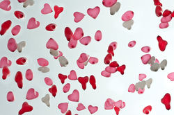 "©" fotostudioM2-48.jpg