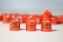 Conker Rings 20.png