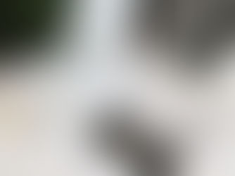 Responsabilidad Social en los Sistemas de Gestión: Clave para el Futuro de las Organizaciones