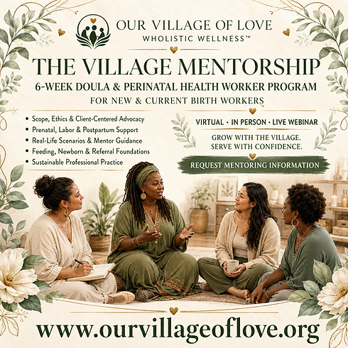 The Village Mentorship Program Flyer.png