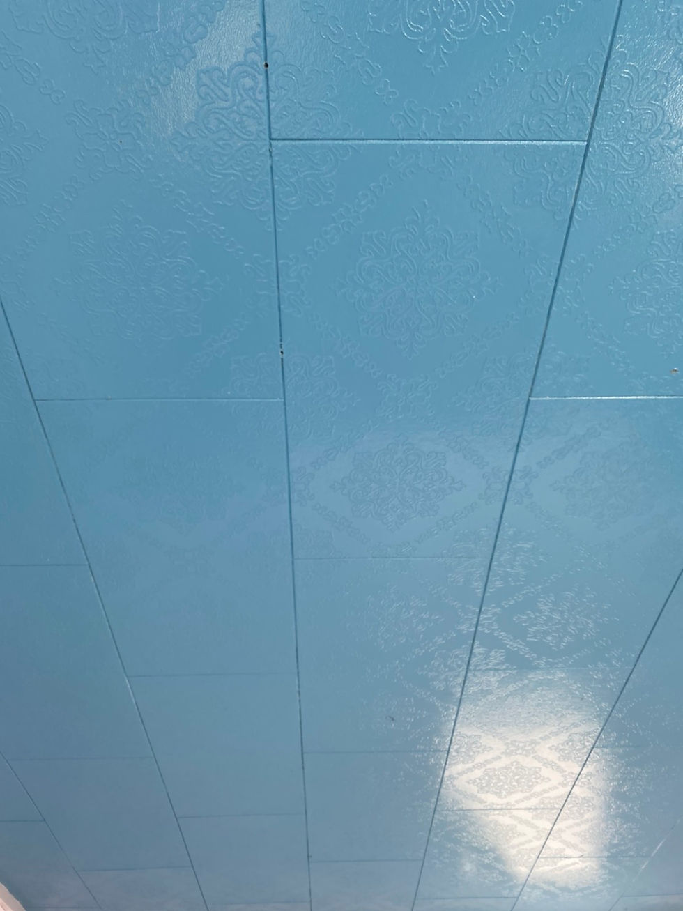 image1 (19).jpeg
