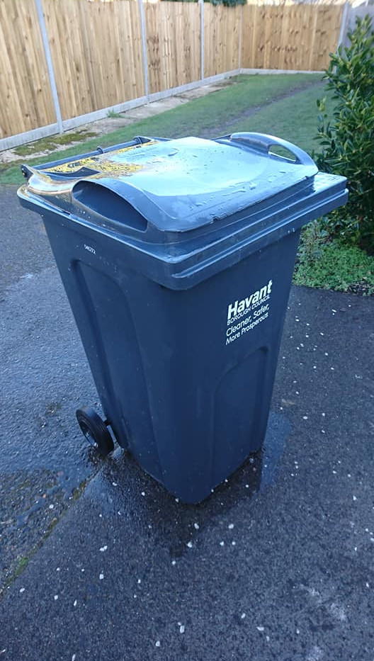 Wheelie Bin Cleaning Sparkling White Cleaning