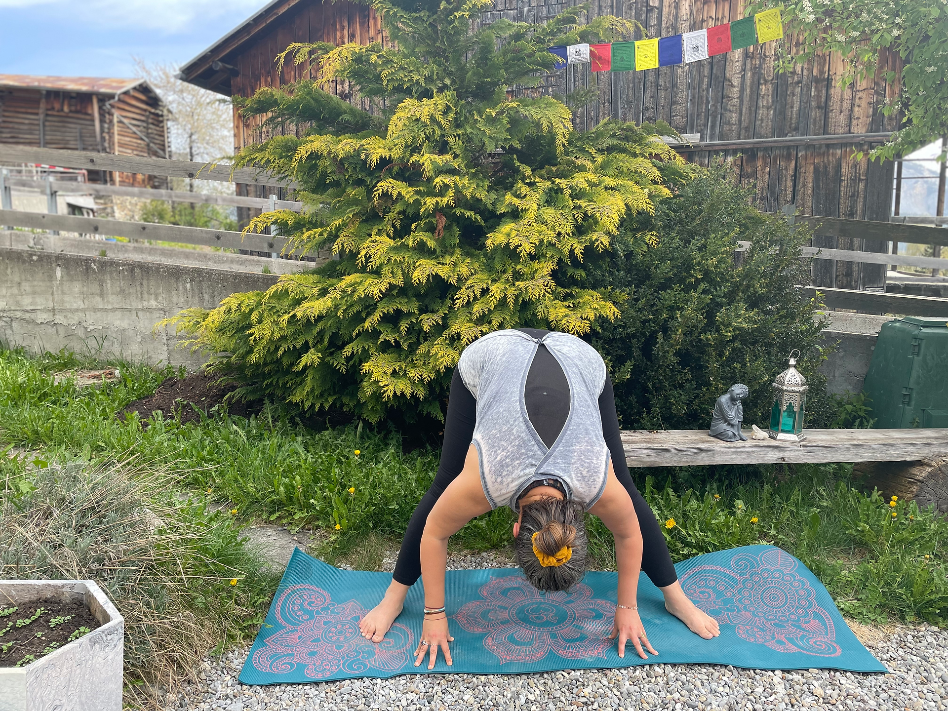 Prasarita Padottanasana