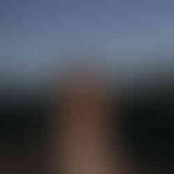 Stephi von Frau Weiblichkeit