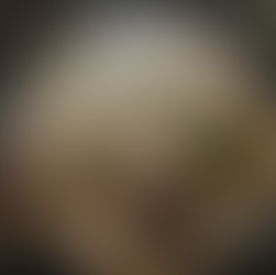 getrocknete Teekräuter