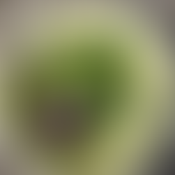 Wildpflanzen aus dem Garten