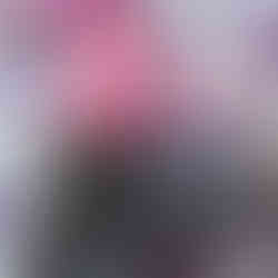Holunder-Sorbet
