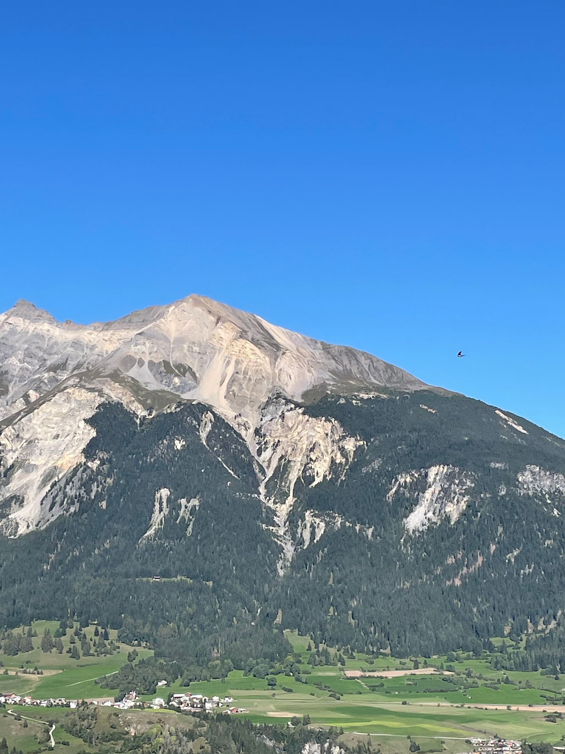Piz Linard with a swallow