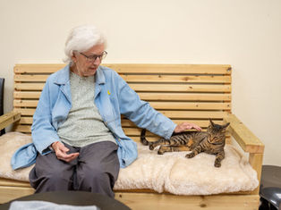 CAT CAFE בגבעתיים: אנשים ,קפה והלב הגדול שמאחורי הכול