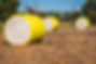 pexels-photo-13924878.jpeg