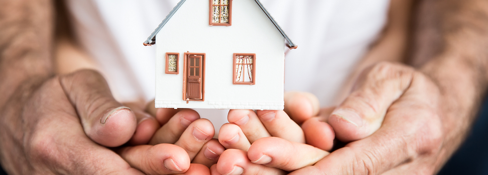 Building and Timber Pest Inspections