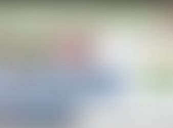 Teamwork makes the dream work