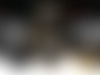 從OLYMPUS EM5 II皮套分別GAIRZ 的皮料種類