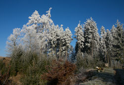 Liben, Czech republic