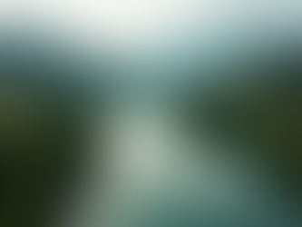 Unraveling the Mystery: The Green River Killer's Haunting History in King County - September 2024