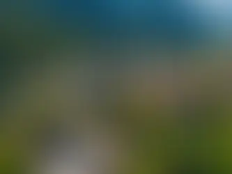 Hidden Gems: 5 Unforgettable Day Trip Destinations in Washington State