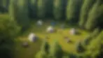 High-angle view of a serene campsite in a tranquil forest