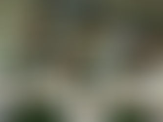 Brockport Golden Eagles Swept on SUNYAC Hockey weekend