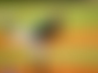 Dominant pitching guides Brockport Baseball to third straight win.