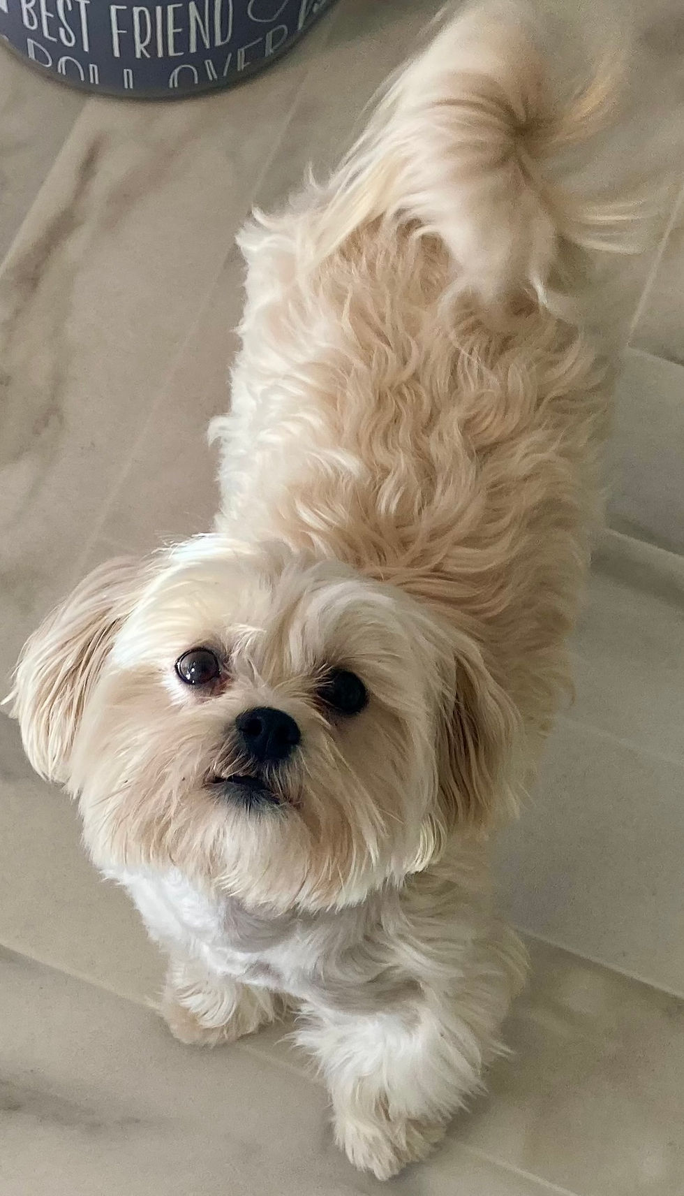 Chloe