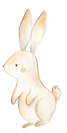 Bunny.png