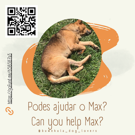 Ajuda para tratamento do Max | Gofundme