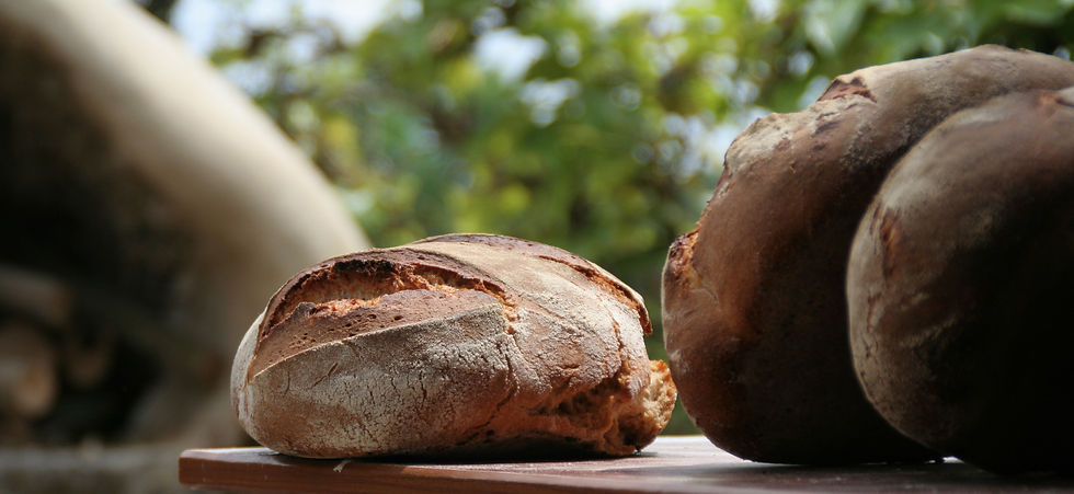 Pains cuits au feu de bois