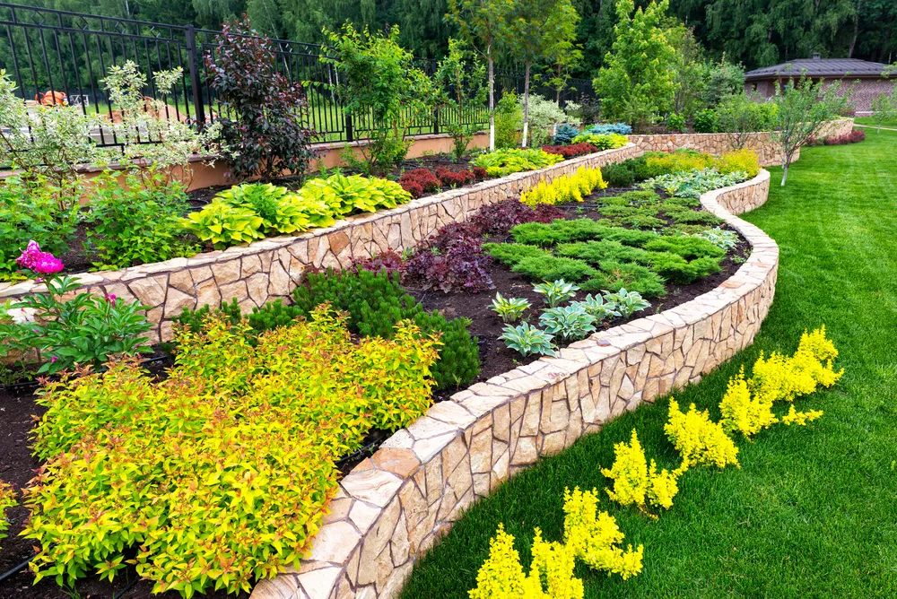 landscaping-101.webp