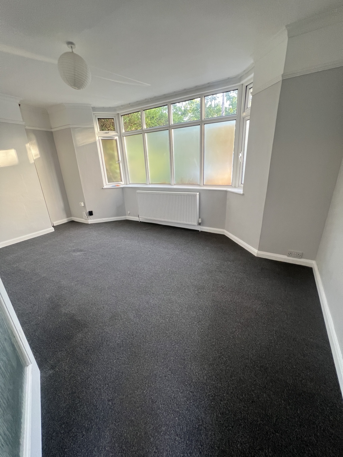 Carpet cleaning after