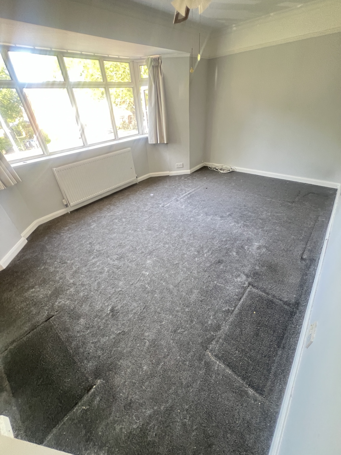 Carpet cleaning before