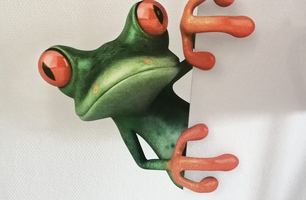 Frog print kids room