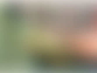 Leitura e concentração