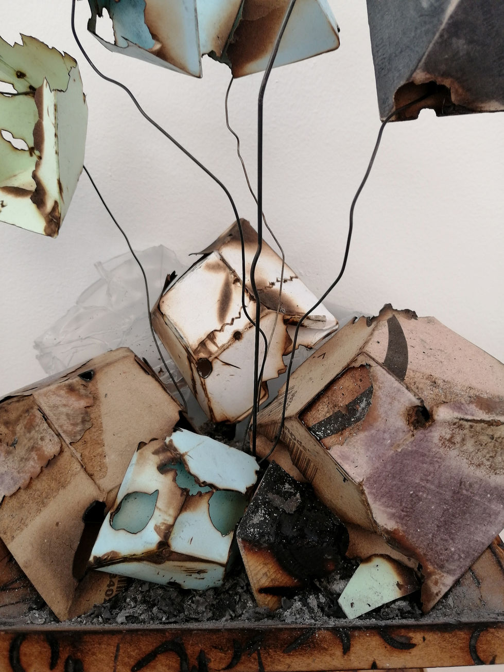 IMG_20220112_152945 copy