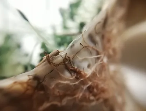 Screenshot 2025-05-14 at 12.07.52